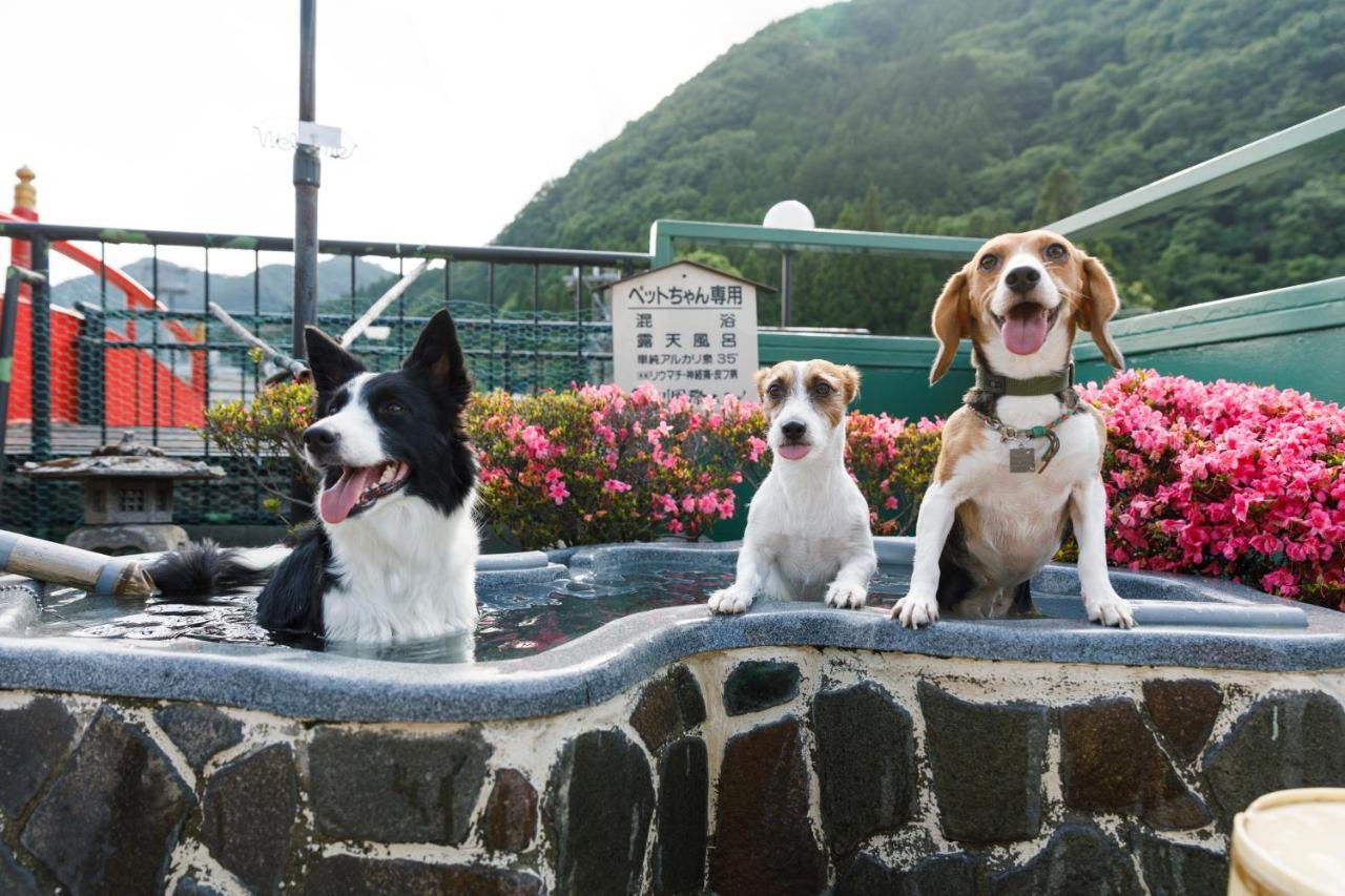 Kinugawa Kokusai Hotel Никко Экстерьер фото