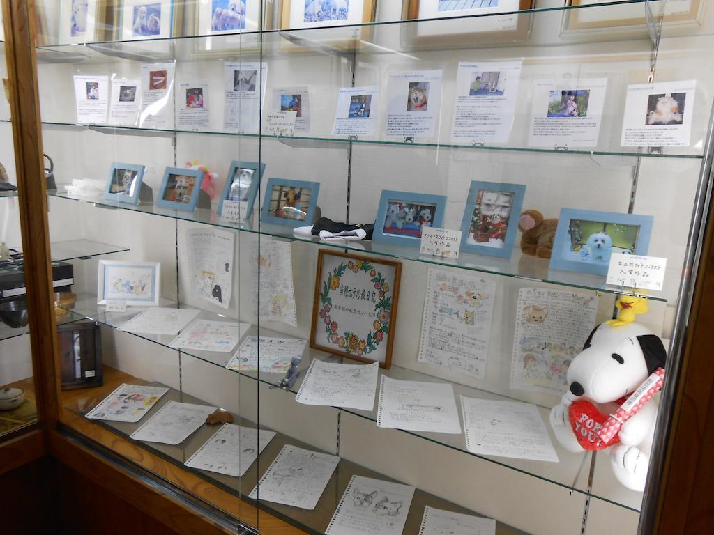Kinugawa Kokusai Hotel Никко Экстерьер фото