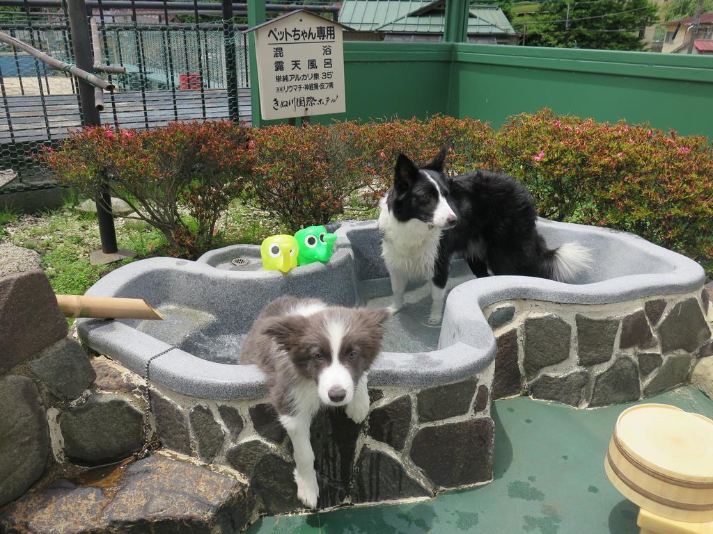 Kinugawa Kokusai Hotel Никко Экстерьер фото